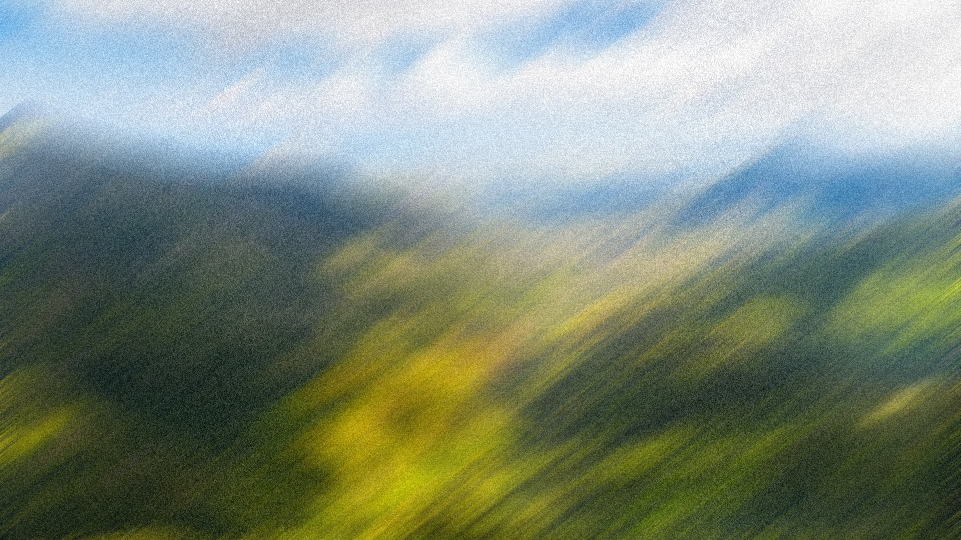 Professional business person on phone